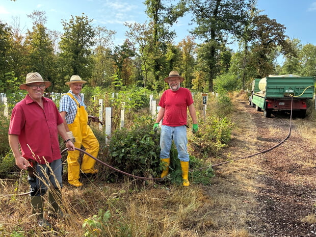 Das Team der Steillagengruppe versorgte in mehreren Einsätzen die Jungbäume mit dringend benötigtem Frischwasser