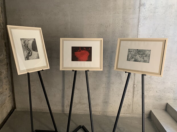 Ausstellungszyklus Salix