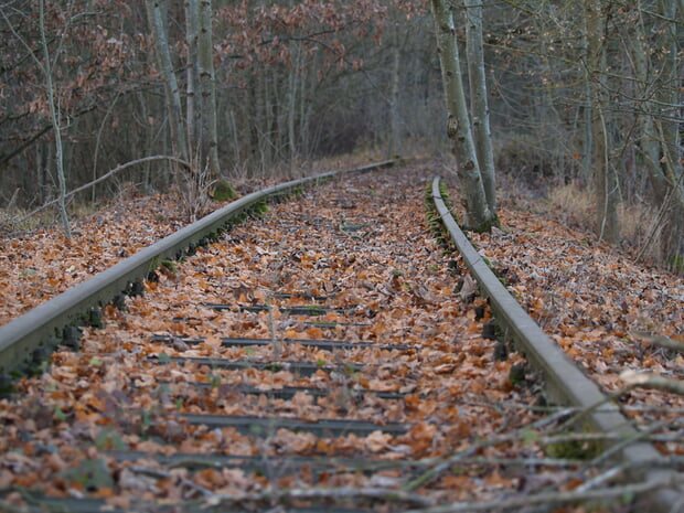 Pflegeabschnitt in Lauffen