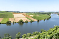 Spaziergang "Römischer Gutshof, Krappenfelsen, Neckar"