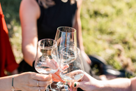 NaTour - den Piwis auf der Spur