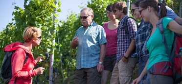Eine Frau steht mitten in den Weinbergen vor einer Personengruppe