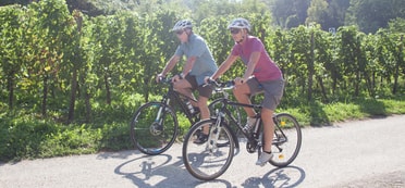 Zwei Radfahrer vor einem Weinberg