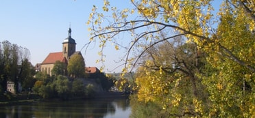 Regiswindiskirche mit hebstlichen Zweigen im Vordergrund