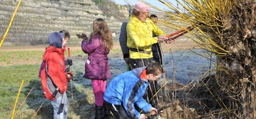 Umwelt und Natur