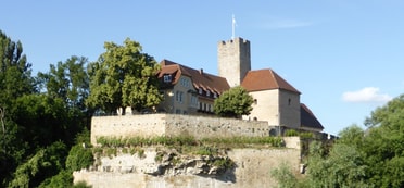 Die Rathausburg mit Bäumen bei schönem Wetter