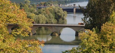 Blick auf die alte Neckarbrücke mit ihren Rundbögen und die neue Neckarbrücke, im Vordergrund Bäume mit gelbem Herbstlaub(Foto: Jürgen Reiner)