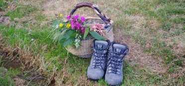 Ein Paar Wanderschuhe steht neben einem Korb mit Wiesenblumen (Foto:  Karin Himmelreich-Rades)