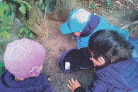 Mit den Kindern die Natur erleben