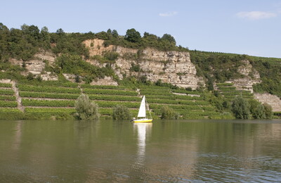Der Neckar und der Lauffener Krappenfelsen (Foto: Claudia Fy)