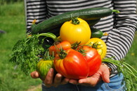 Gärtnerin mit geerntetem Gemüse (Foto: pixabay)