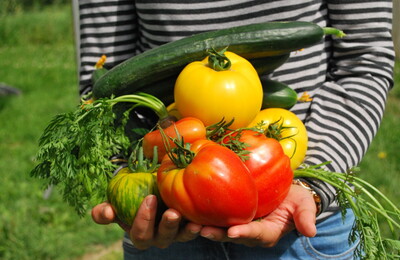 Gärtnerin mit geerntetem Gemüse (Foto: pixabay)