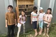 Neues vom Insektenschutzprojekt der Hölderlin-Grundschule
