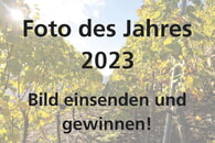 Foto des Jahres 2023 Logo