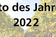 Foto des Jahres 2022