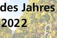 Foto des Jahres 2022