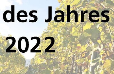Foto des Jahres 2022