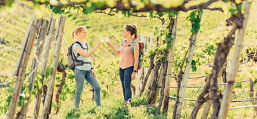 Weinwandern im Frühling oder Sommer: Zwei junge Damen mit Weingläsern stoßen im Weinberg an.