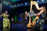 Amonet Trio (v.l.n.r.): Bianca Alecu an der Querflöte, Götz Engelhardt an der Bratsche, Jelena Engelhardt an der Harfe