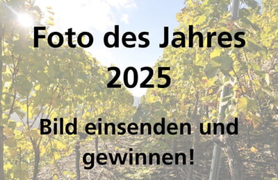 Foto des Jahres 2025