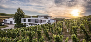 Weingut Eberbach-Schäfer in den Lauffener Weinbergen bei Sonnenuntergang