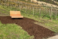 Die letzte Bank aus der Spendenaktion im vergangenen Jahr wurde unterhalt des Lauer-Weinbergs angebracht und lädt zum Verweilen ein. 