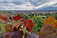 Siegerfoto des Jahres 2025: Birgit Sautter - Wolkenspiel mit Regiswindis
