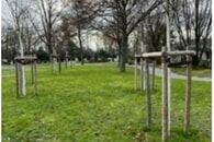 Abteilung 28 - Urnenbaumwahlgrab