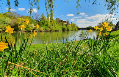Neues und Altes vom Neckar entdecken