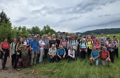 Der Schw&auml;bische Albverein wandertre im Schwarzwald