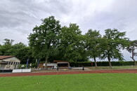 Die betroffenen Eichen auf dem Sportgel&auml;nde Ulrichsheide