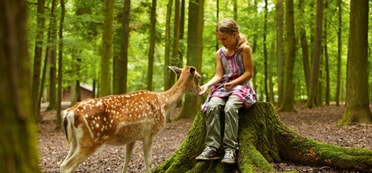 1 - Zum Freizeitpark Tripsdrill