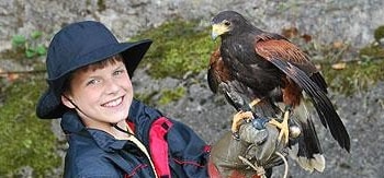 Ein Jungfalkner mit einem Greifvogel auf seiner Hand