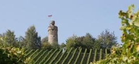 Der Turm der Heuchelberger Warte oberhalb der Weinberge