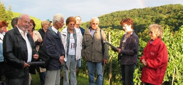 Lyrischer Weinspaziergang