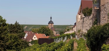 Wein und Stein