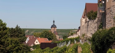 "Wein und Stein"