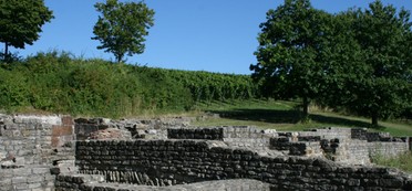 Mauerreste des römischen Gutshofes mitten in den Weinbergen