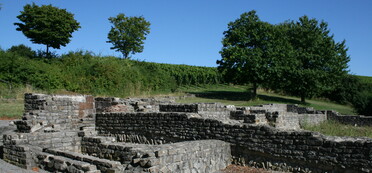 Mauerreste des römischen Gutshofes mitten in den Weinbergen