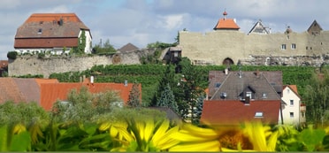 Blick auf die Lauffener Stadtmauer mit Häusern im Vordergrund