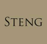 Logo der Firma Steng
