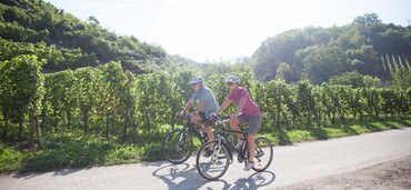 Zwei Radfahrer vor einem Weinberg (Foto: TG Heilbronner Land)