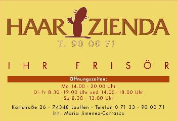 Logo der Firma Haarzienda