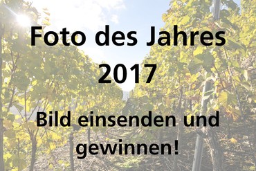Foto des Jahres 2017 Fotowettbewerb