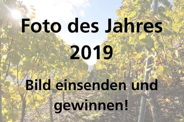 Foto des Jahres 2019