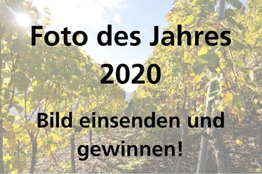 Foto des Jahres 2020