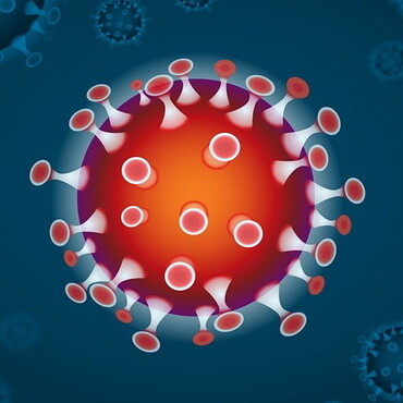 Corona-Virus (Bild: pixabay.com) Grafik eines Corona-Virus: Orangerote Kugel mit vielen kleinen kegelförmigen Auswüchsen (Bild: pixabay.com)