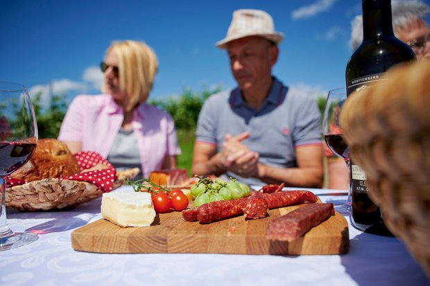 Picknick im Weinberg (Foto: Christian Ernst)