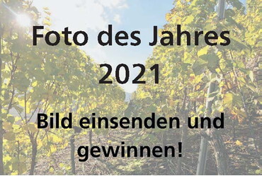 Foto des Jahres 2021