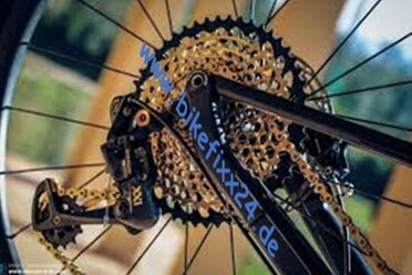 Detailfoto Hinterrad Fahrrad: Goldener Antrieb mit der Webadresse von bikefixx24.de (Foto: D. Marquardt)